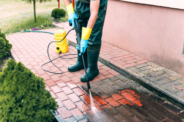 Roof Power Washing Services in Richmond, IL